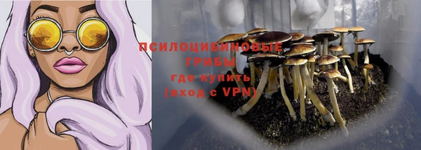 не бодяженный Богородицк