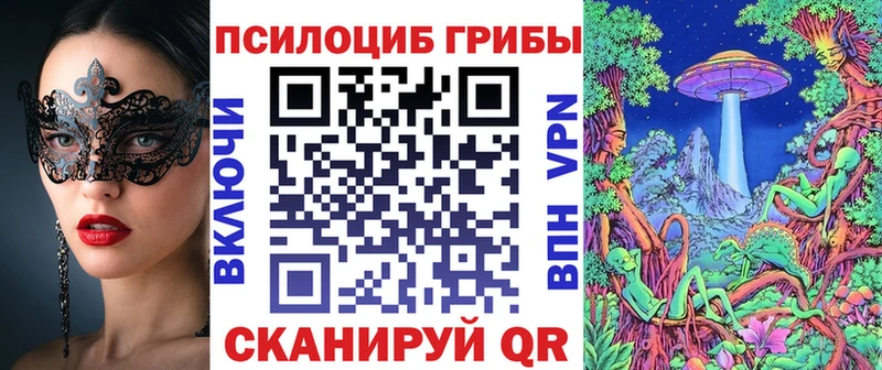 купить  цена  Арзамас  Псилоцибиновые грибы Magic Shrooms 